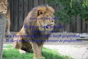 Amos0308-Boek